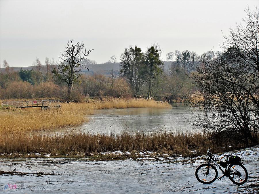 Okolice Tczewa. Jezioro Rokickie.