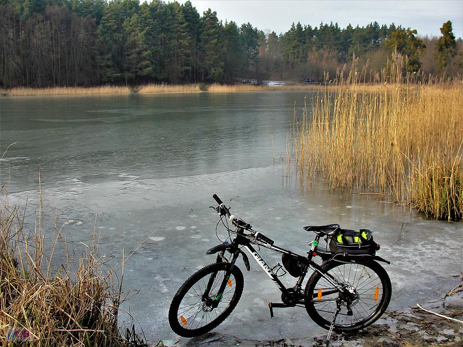Okolice Tczewa. Jezioro Rokickie.