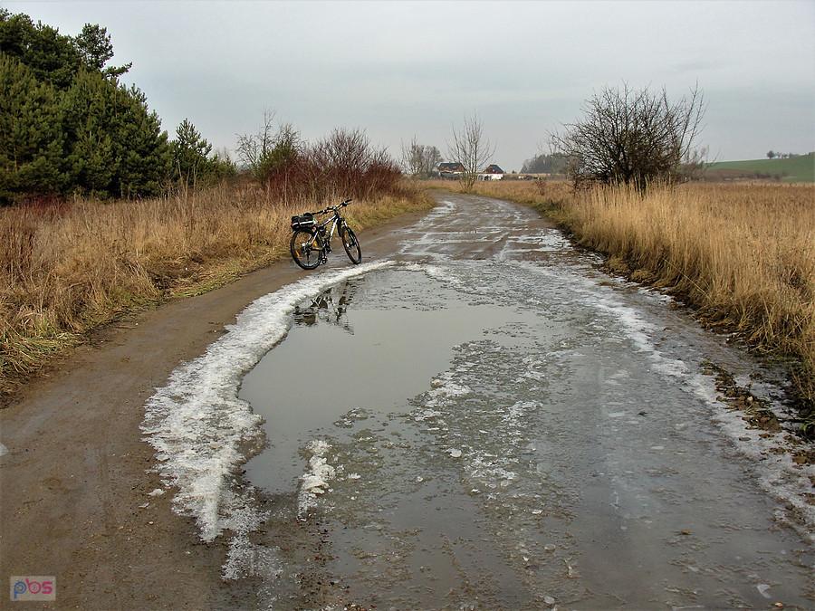 Okolice Tczewa.