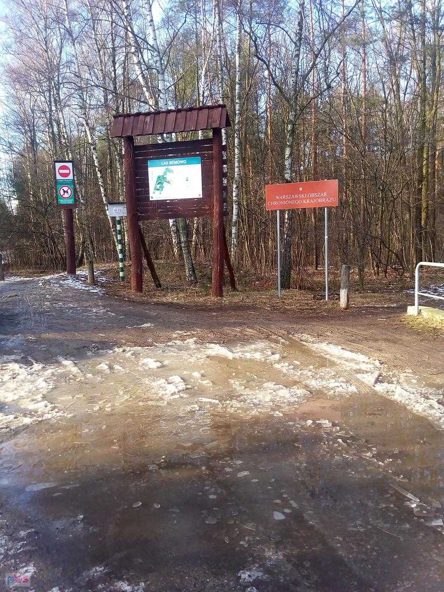 Droga w lesie jeszcze pokryta lodem