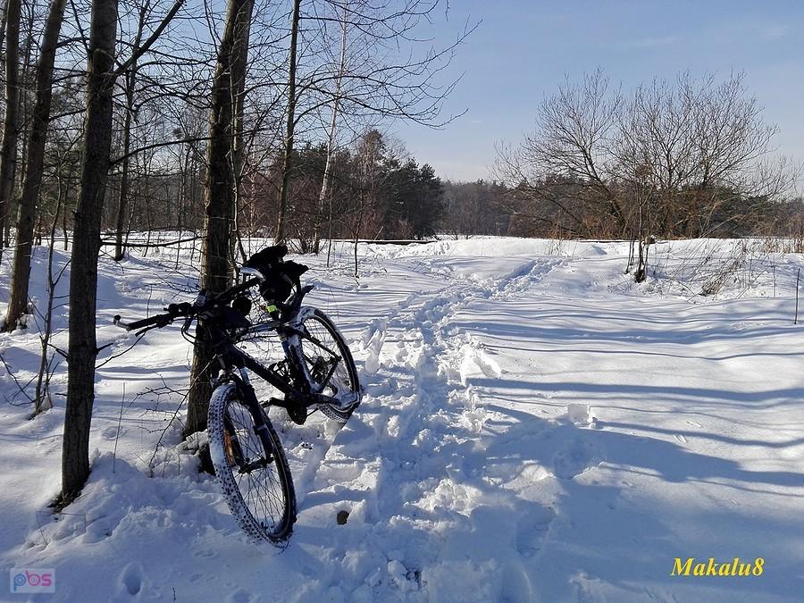 GIANT w śnieżnej bieli