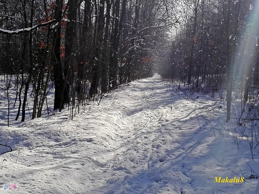 Dąbrowa Miejska