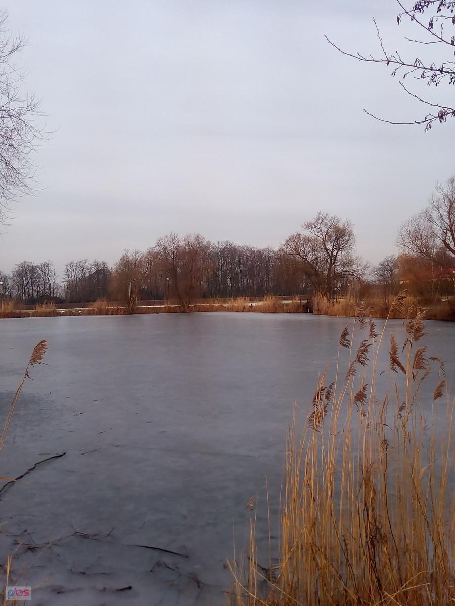 Zamarznięty staw w Zielonkach