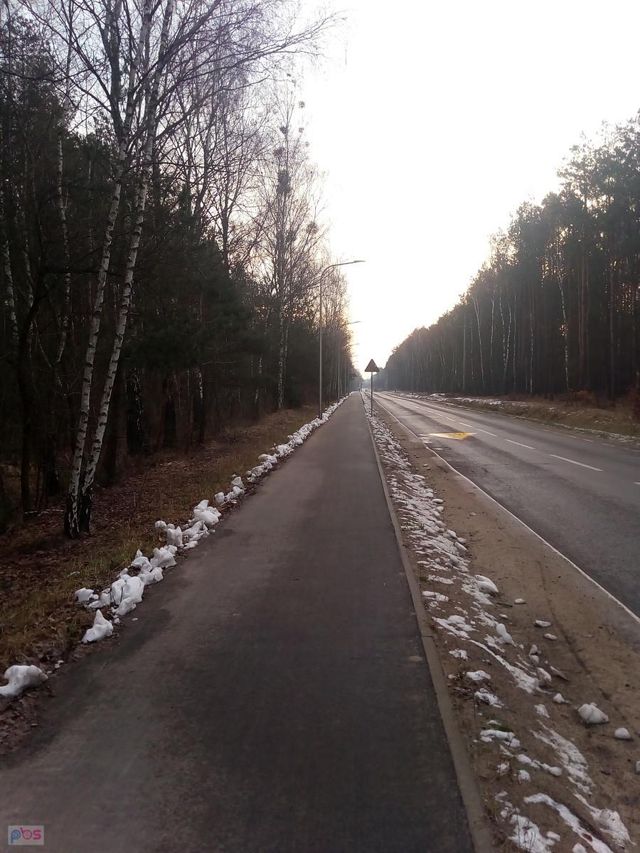 Ddr z Truskawia do Hornówka jest asfaltowa