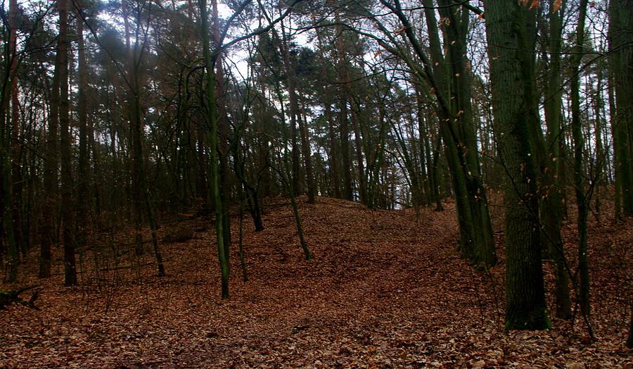 Puszczykowskie Góry - WPN