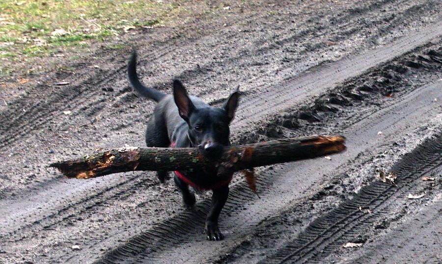 Co tu nie jest normalne? Koleiny :) - WPN