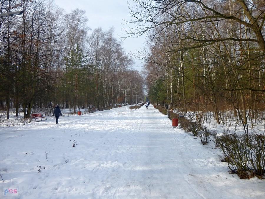 Gdzieś na końcu alejki jest punkt