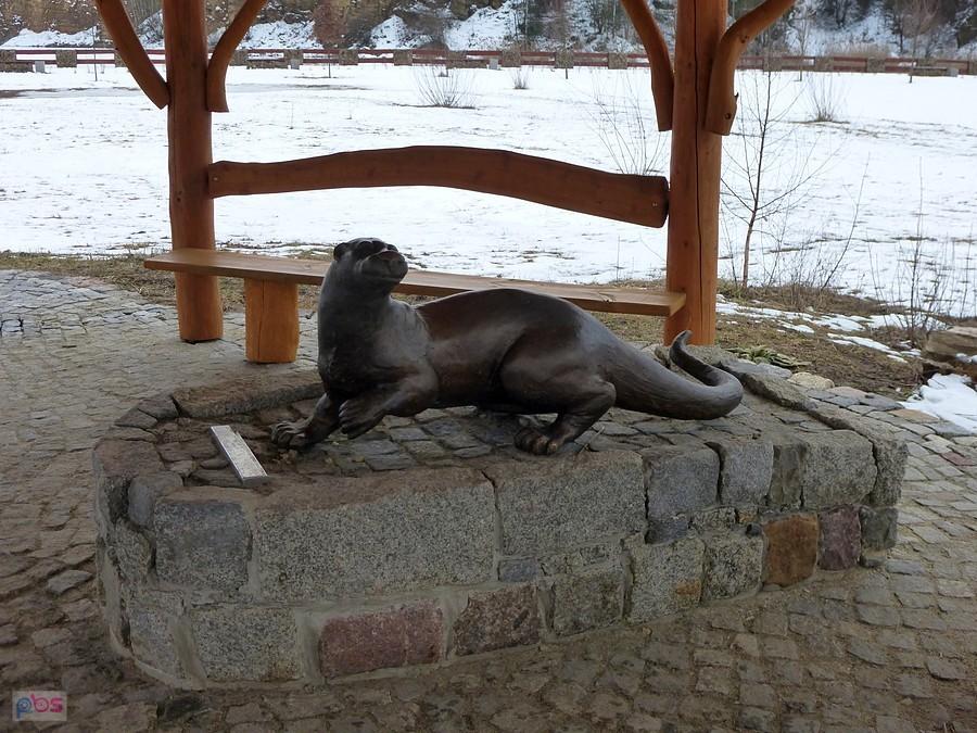 A skąd tu wydra?