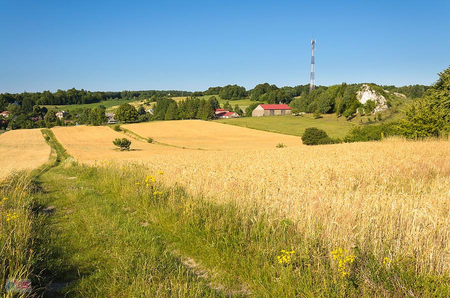 Suliszowice