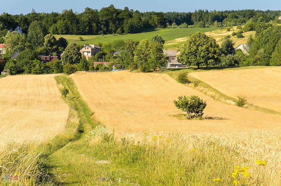 Suliszowice - widok ze wzniesienia