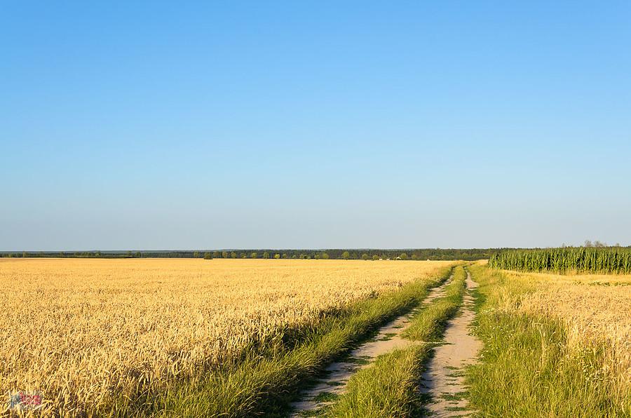 Polami z Mełchowa do Koniecpola