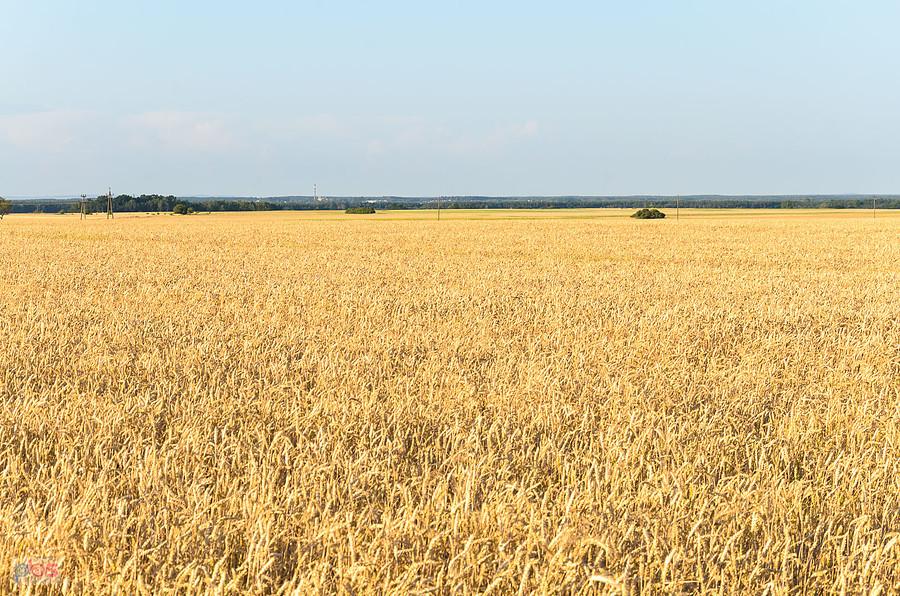 Mełchów - z widokiem w stronę Koniecpola