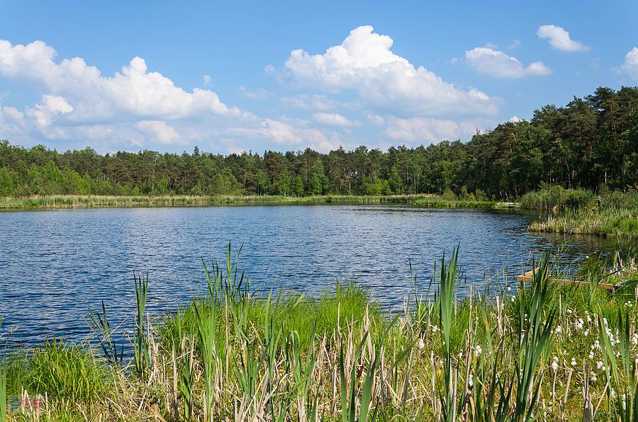 Bagno w Jeziorze - miejscowość Jezioro