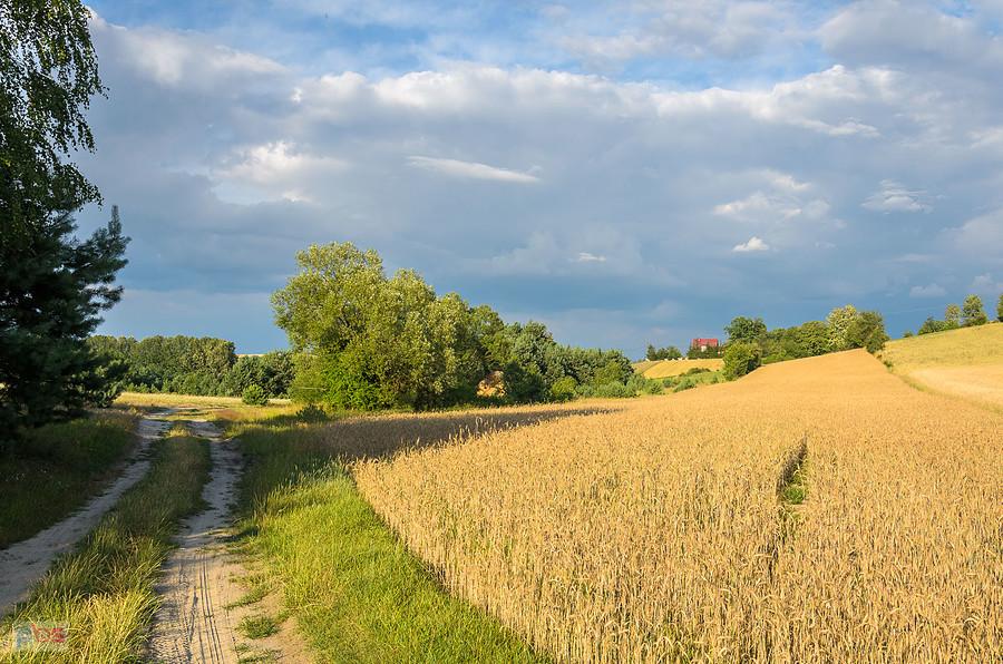 Huby - przysiółek wsi Bobolice