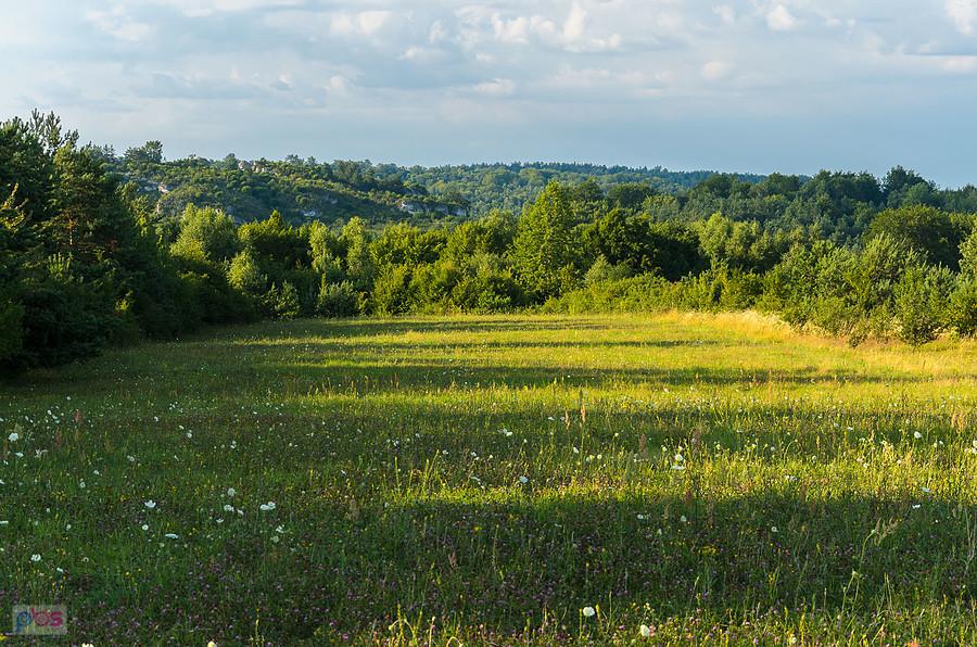 Kolonia Bobolice - widok na wzniesienie pomiędzy zamkami Mirów i Bobolice