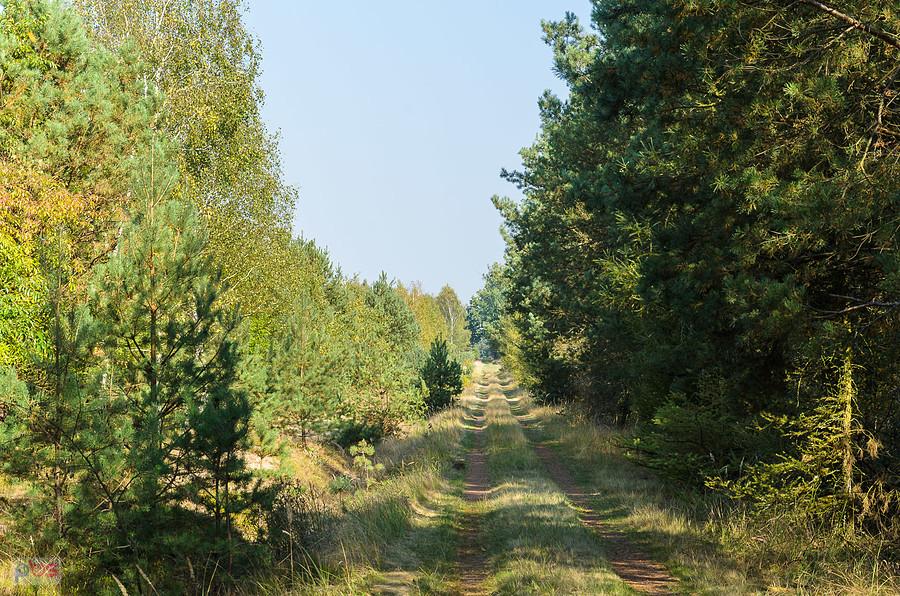 Droga pożarowa "Gazruły" - Kuźnia Raciborska