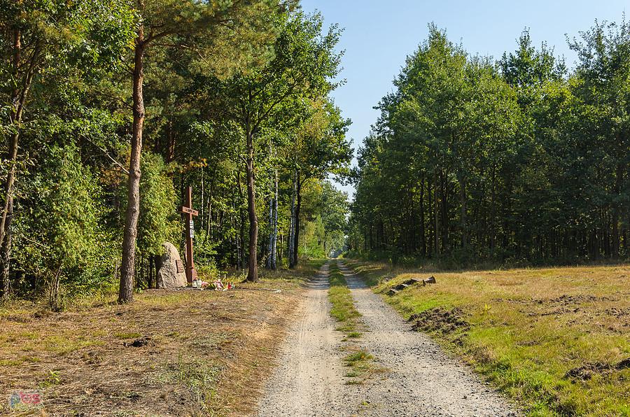 Miejsce pamięci - las Kuźnia Raciborska