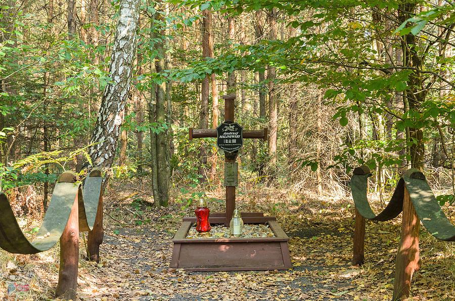 Miejsce pamięci - las Kuźnia Raciborska