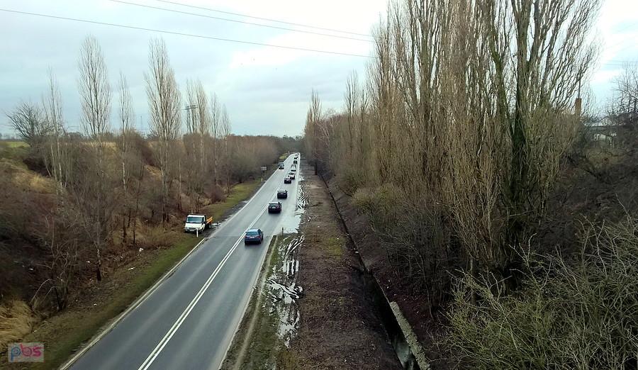 Pod Ustowem nad drogą Floriana Krygiera.