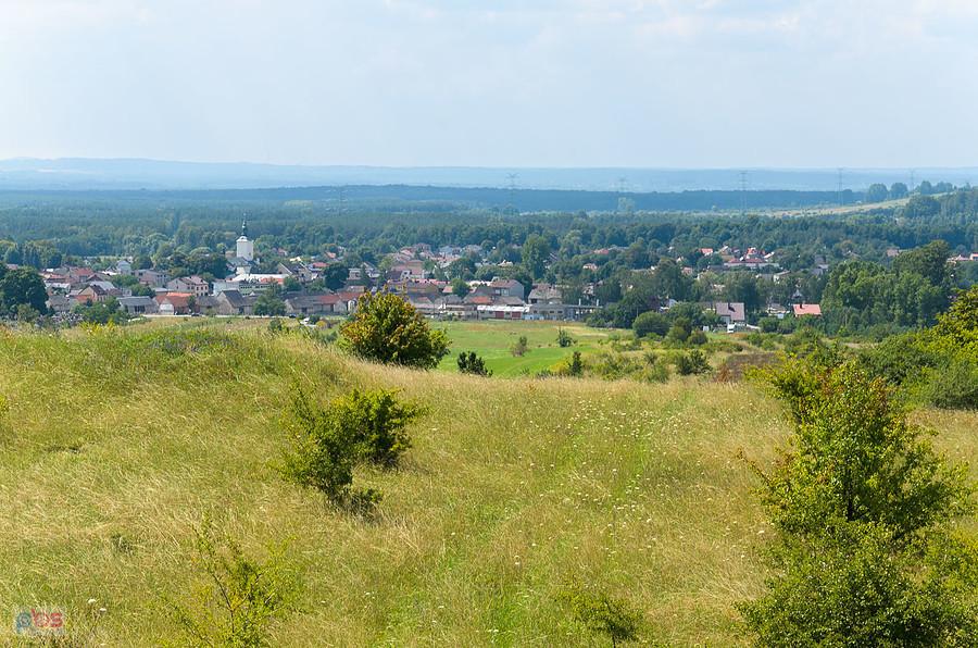 Żarki
