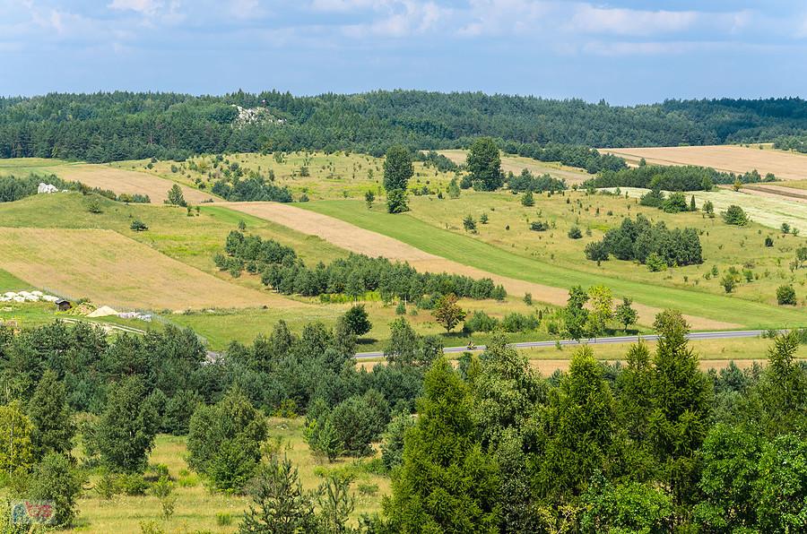 Żarki - ze wzgórza Parchowatka