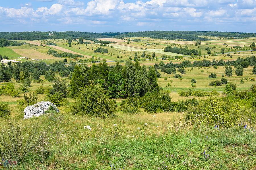 Żarki - kolejny widoczek z Parchowatki