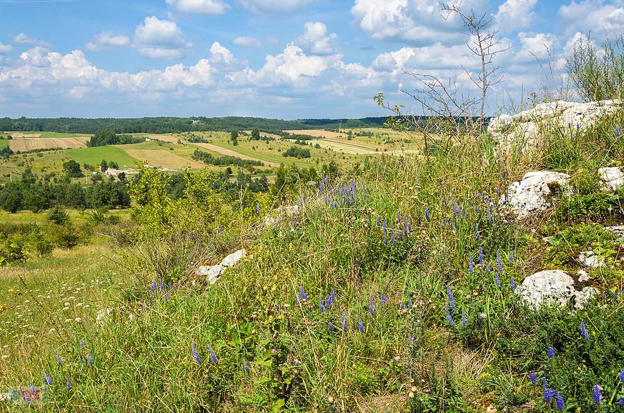 Żarki - wzgórze Parchowatka - widok w kierunku Czatachowy