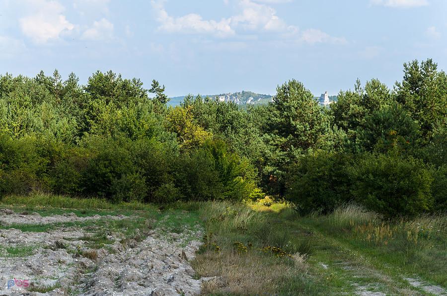 Droga równoległa do Mirowskiego Gościńca, w tle Mirów