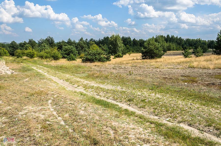 Przez pola i lasy - pomiędzy Żarkami, a Mirowem