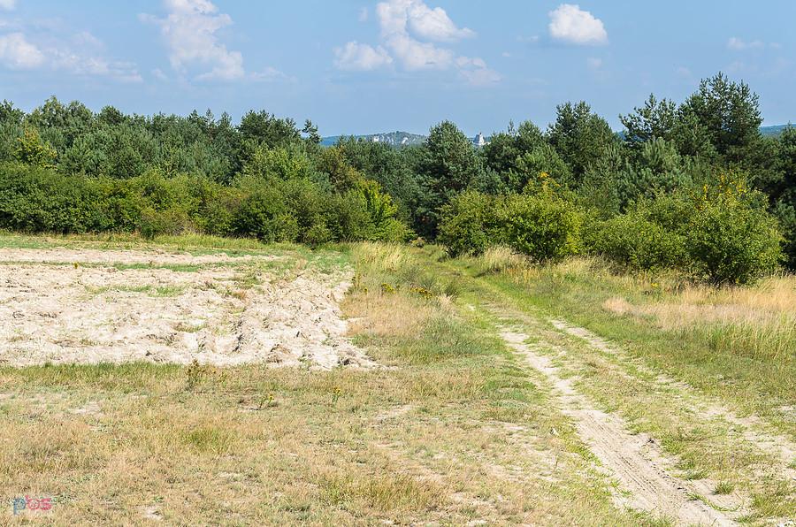 Za Żarkami w kierunku Mirowa