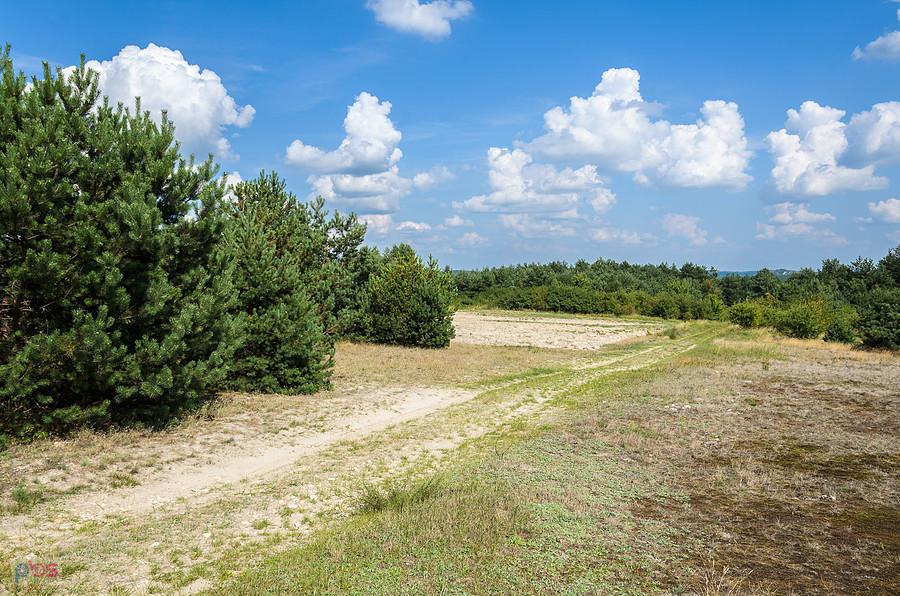 W kierunku Mirowa, droga równoległa do Mirowskiego Gościńca