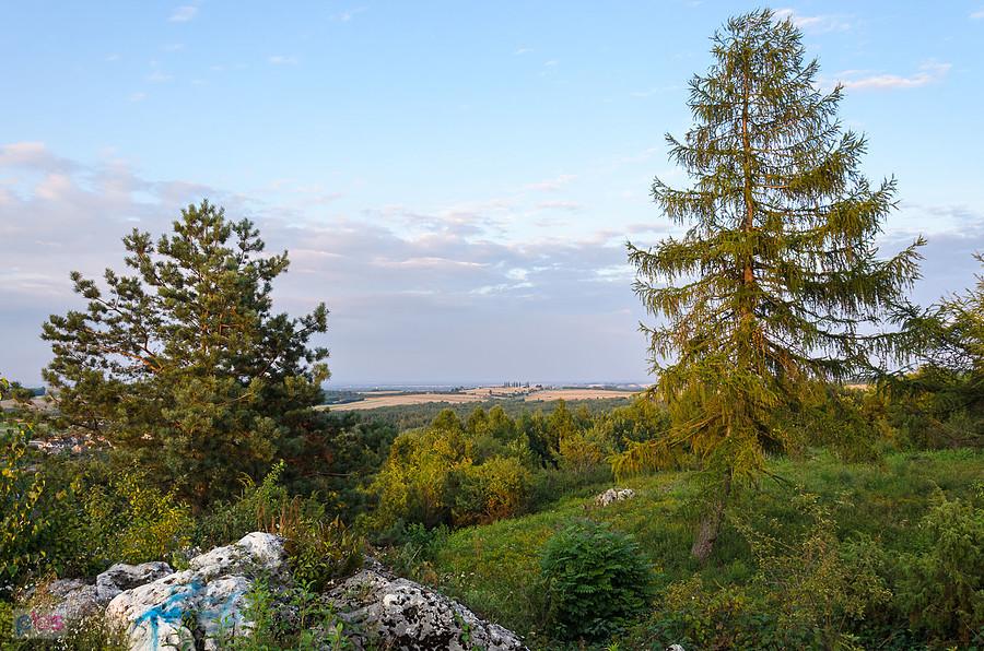 Niegowa - w kierunku Tomiszowic