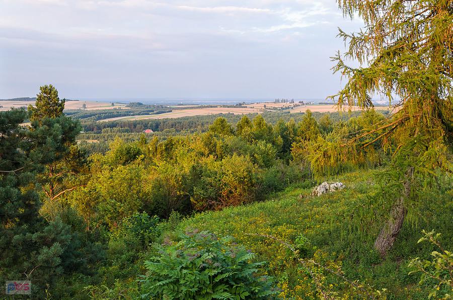Widok w kierunku Tomiszowic i Mzurowa - wzgórze w Niegowej