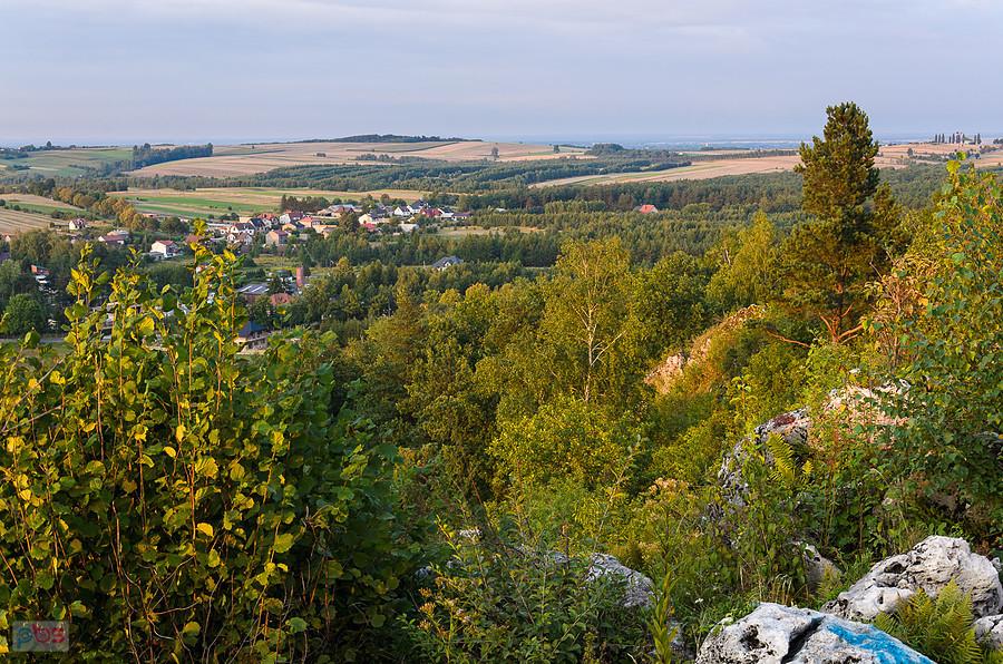 Widok w kierunku Tomiszowic i Mzurowa oraz zabudowania miejscowości Niegowa