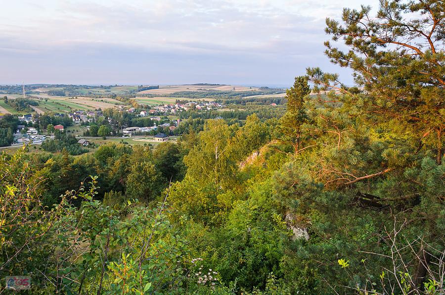Widok w kierunku Mzurowa, poniżej zabudowania miejscowości Niegowa