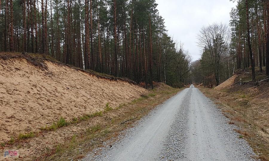 Dojazd Pożarowy 18 w kierunku Bącznika