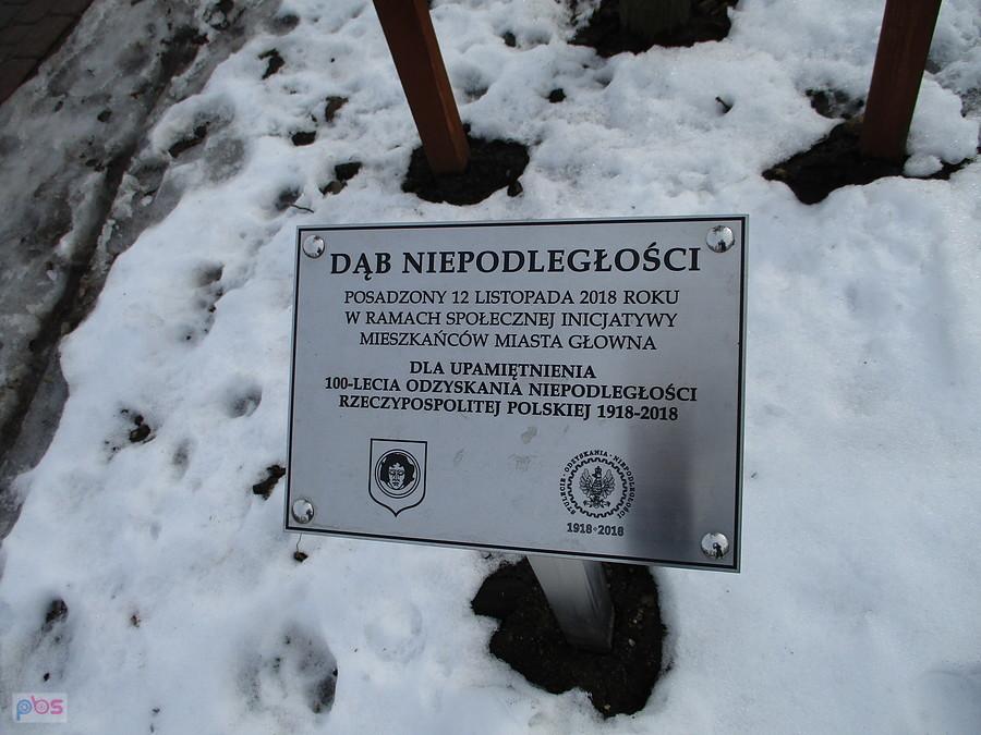 Nowy Przyrodniczy Nabytek Głowna