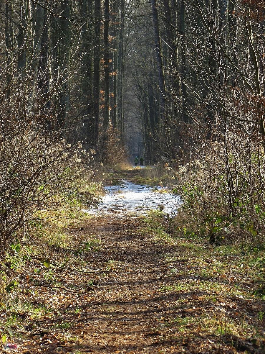 Słoneczny dukt