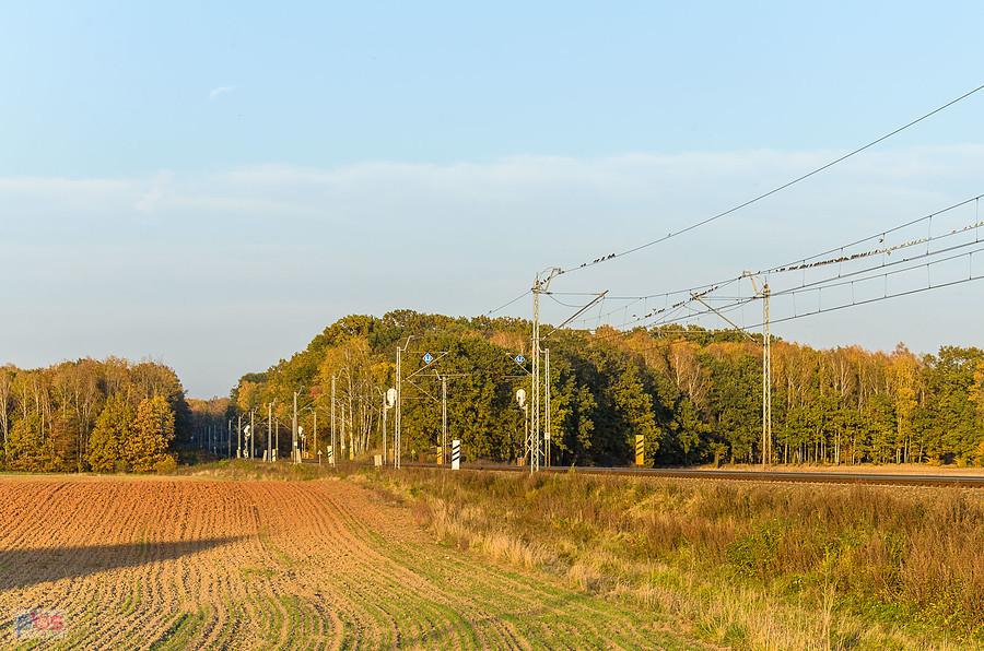 Linia kolejowa nr 61 w Kochanowicach