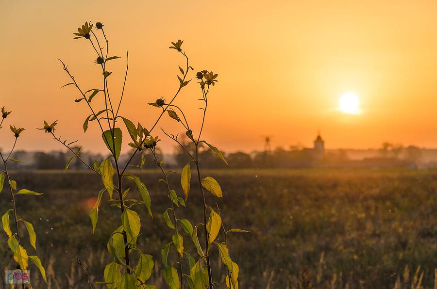 Kochanowice o zachodzie słońca