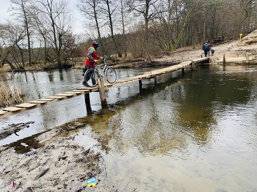 Bocian wersja odważna