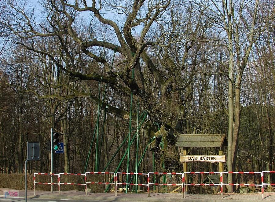 Do Zagnańska przyjeżdża się dla Bartka