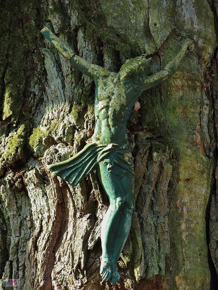 Chrystus na pniu Bartka