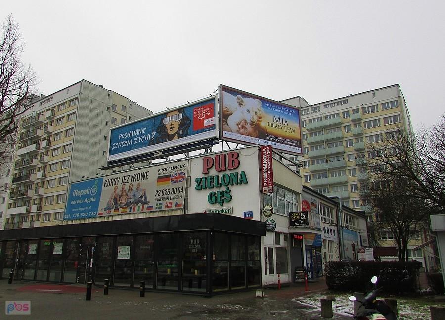 Zielona Gęś