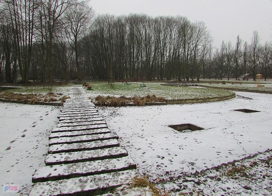 Przy małych stawach na Polu Mokotowskim