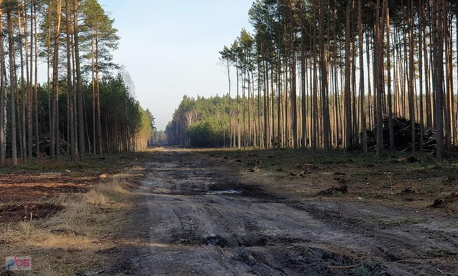 Powstajaca szosa w okolicy Zdunowa