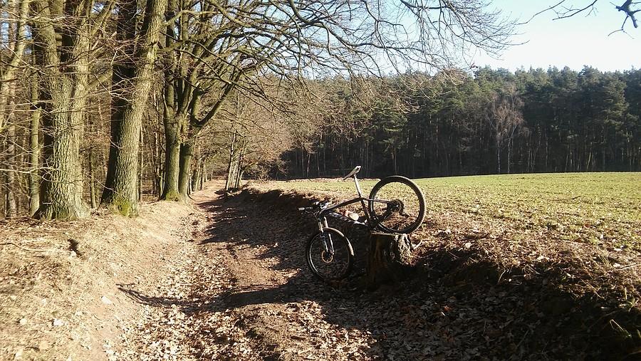 Warunki do MTB w WPN świetne, a to dopiero połowa lutego :)
