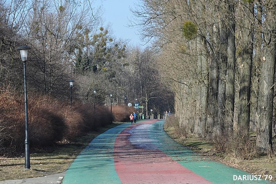 Park Chorzowski - Chorzów - Droga Rowerowa