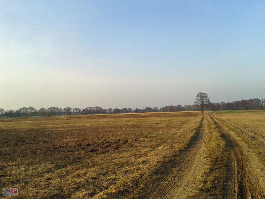 Droga za grodziskiem