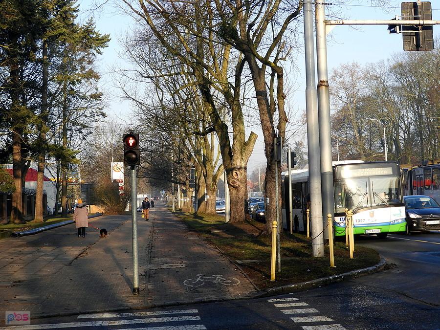 Drzewa widoczne po prawej stronie DDR-ki idą pod topór.